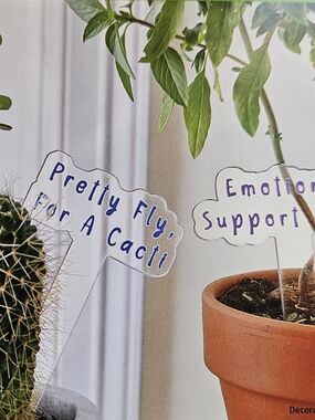Clear Acrylic Plant Label Stakes